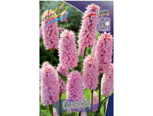 107���. ����� �������(�������� ���� �� 1 ��., ����������� ����� 1��.).jpg