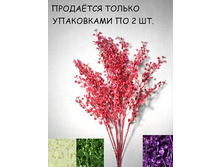 11/0005� �����