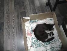2015-08-01 00.42.47.jpg
