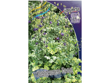 107���. ��������� �������� ����(�������� ���� �� 1 ��., ����������� ����� 1��.).jpg