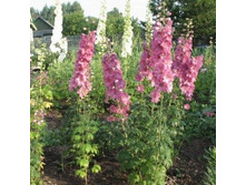 ���������� ������� 0,05�� 10.jpg