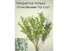 11/0001� �����