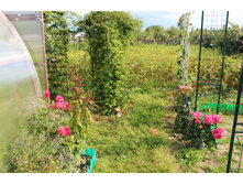 ������� (37).JPG