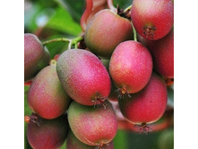 215���. ��������� ������ ��������� (������� ���).jpg