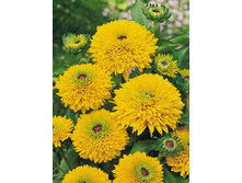 122���. �������� ����(�������� ���� �� 1 ��., ����������� ����� 1��.).jpg