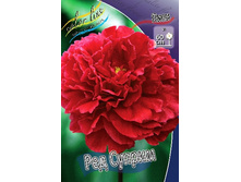 246,4���. ���� ��� ������(�������� ���� �� 1 ��., ����������� ����� 1��.).jpg