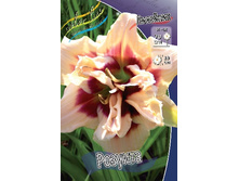 138,6���. �������� �������(�������� ���� �� 1 ��., ����������� ����� 1��.).jpg