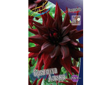 84,8���. �������� �������� �����(�������� ���� �� 1 ��., ����������� ����� 1��.)���14.jpg