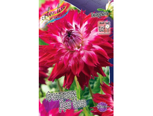 84,8���. �������� ������� �� ���(�������� ���� �� 1 ��., ����������� ����� 1��.).jpg