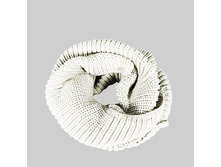 PSM-INF-White-0 enl.jpg