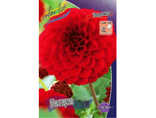 70,9���. �������� ������(�������� ���� �� 1 ��., ����������� ����� 1��.).jpg