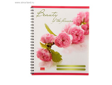 ������� 48 ������ ������ �� ������ �����, ��-���, �������� ������ 400��, ���� ���.1208115 ���� 24,48 ���., ���. 6 ��.jpg