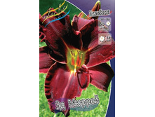 113,7���. �������� �� ������(�������� ���� �� 1 ��., ����������� ����� 1��.).jpg