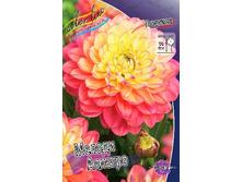 92,2���. �������� ������ �������(�������� ���� �� 1 ��., ����������� ����� 1��.).jpg