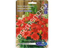 ���� ��������.jpg