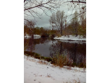 IMG 20151011 095152.jpg