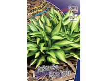 130,3���. ����� �������� ���� ����(�������� ���� �� 1 ��., ����������� ����� 1��.).jpg