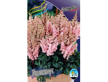 141,9���. �������� �������(�������� ���� �� 1 ��., ����������� ����� 1��.).jpg