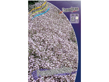 107���. ��������� �����������(�������� ���� �� 1 ��., ����������� ����� 1��.).jpg