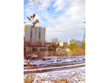 IMG 20151011 103625.jpg