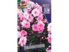 79,37���. ����� ���������(�������� ���� �� 3 ��., ����������� ����� 1��.).jpg