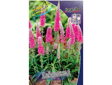 113,7���. �������� ���������(�������� ���� �� 1 ��., ����������� ����� 1��.).jpg