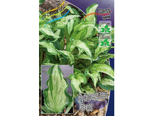 246,4���. ����� ������� ���(�������� ���� �� 1 ��., ����������� ����� 1��.).jpg