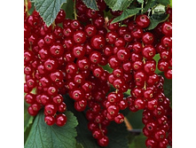 147���. ��������� ������� ������.jpg