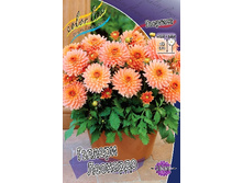 94���. �������� ������� ��������(�������� ���� �� 1 ��., ����������� ����� 1��.).jpg