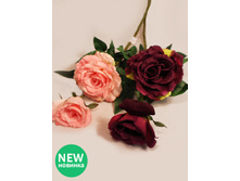 401/0610P ����