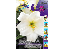 25,36���. ����� ������ �������(�������� ���� �� 7 ��., ����������� ����� 1��.).jpg