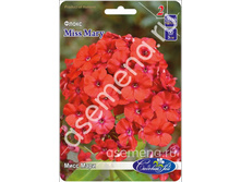 ���� ����.jpg