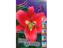 31,34���. ����� ���� �� ����(�������� ���� �� 5 ��., ����������� ����� 1��.).jpg