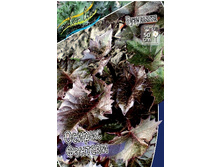 229,8���. ��������� ������ ��������(�������� ���� �� 1 ��., ����������� ����� 1��.).jpg