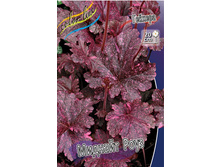 254,7���. ������� ������� ����(�������� ���� �� 1 ��., ����������� ����� 1��.).jpg