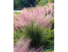 90,5���. ����������� ������������(�������� ���� �� 1 ��., ����������� ����� 1��.)���16.jpg