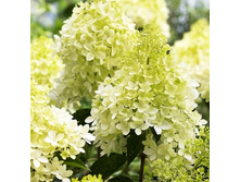 141���. ��������� ����������� ������.jpg