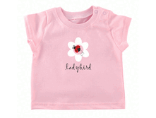 �������	v0188	 ��������.  242 ���.  �-�� 62,68,74,80,86.