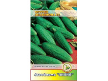 ������ ��������� F1 ������ 	0,3	8,00 ���.