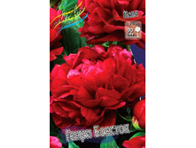 345,9���. ���� ����� �������(�������� ���� �� 1 ��., ����������� ����� 1��.).jpg