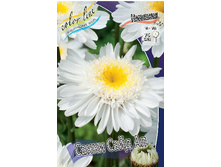 105,4���. ������� ����� ���� ��(�������� ���� �� 1 ��., ����������� ����� 1��.).jpg