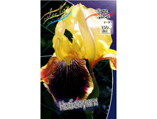 95,3���. ���� ���������� ����������(�������� ���� �� 2 ��., ����������� ����� 1��.).jpg