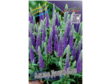 97,1���. �������� ������ ����� ���(�������� ���� �� 1 ��., ����������� ����� 1��.).jpg