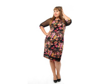 ������ 827/2