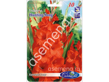 ������� ����.jpg