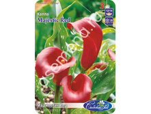 ��������� ���.jpg