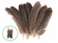 9908 ���� ������� 15-20 �� (10 ��.) 152�.png