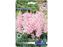 ������ ������.jpg