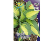 214,9���. ����� ��� �� �����(�������� ���� �� 1 ��., ����������� ����� 1��.).jpg