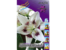 32,04���. ����� �����������(�������� ���� �� 5 ��., ����������� ����� 1��.).jpg